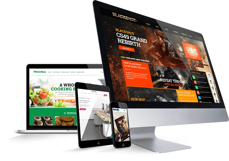 Responsive Website Design